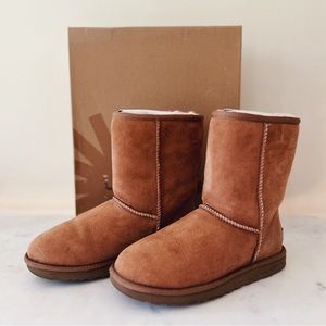 UGG Australia Classic Short Boots in Chestnut